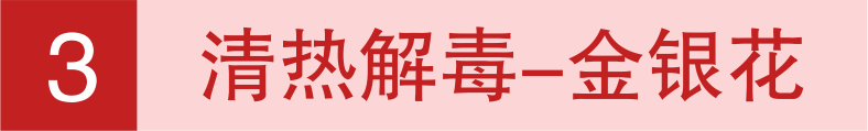 640 (5).png