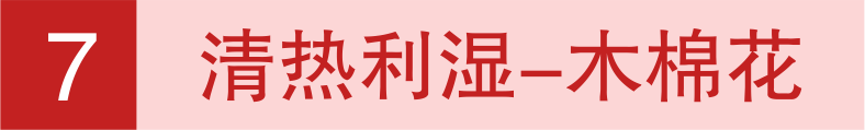 640 (9).png